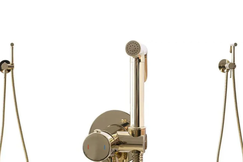Gold handheld bidet set with handheld shower heads on a white background
